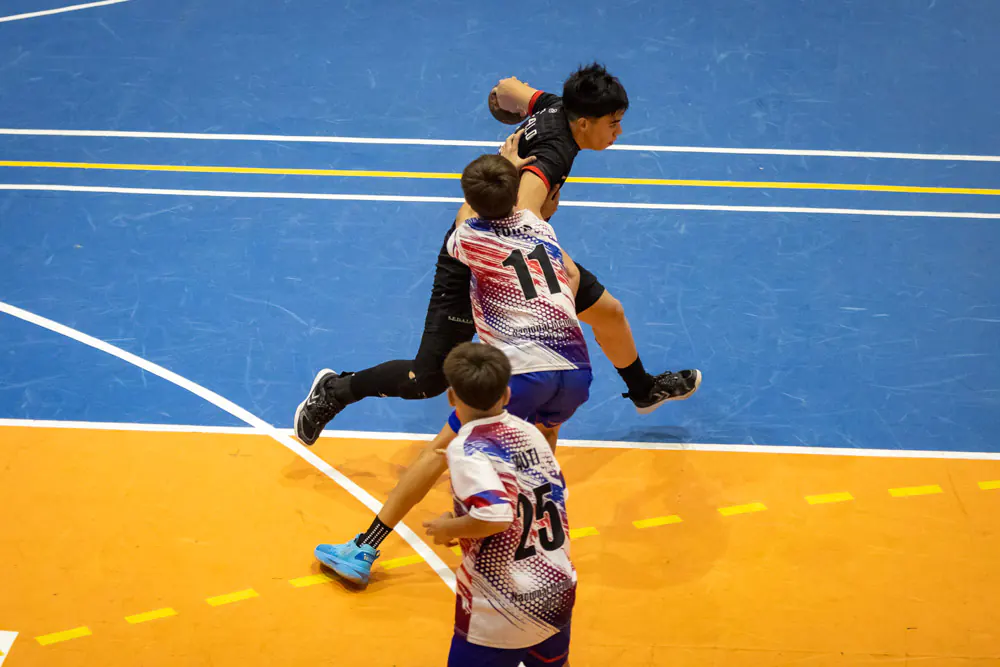 Plan Andino Handball
